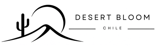 Desert Bloom Chile